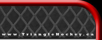 www.TriangleHockey.ca